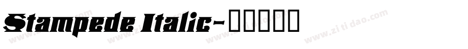 Stampede Italic字体转换